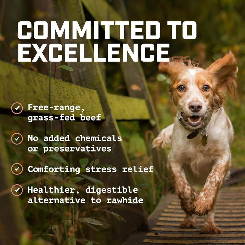 Wild Wolf Beef Collagen Variety Pack (10 Pack) 100% Natural Dog Chew Treats - Loaded with Nutrients - No Additives or Unhealthy Chemicals