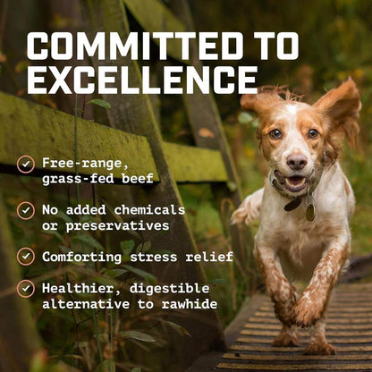 Wild Wolf Beef Collagen Variety Pack (10 Pack) 100% Natural Dog Chew Treats - Loaded with Nutrients - No Additives or Unhealthy Chemicals