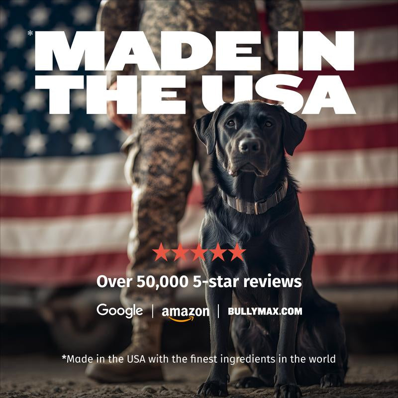 Bully Max Classic Raw Dog Food Topper Chicken Flavor High Protein Freeze-Dried Meal Enhancer with Real Chicken Chia Seeds for Lean Muscle Growth