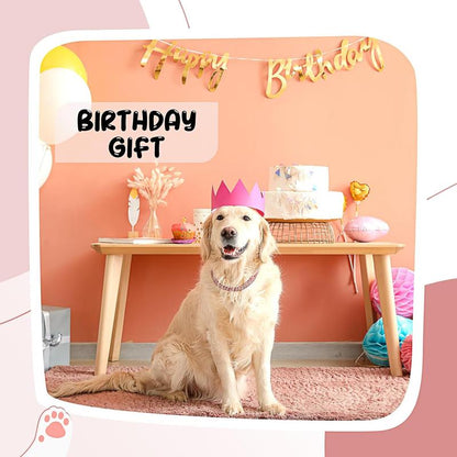 Petfusion Dog Chain Collar Diamond Link Puppy Collar 12 Mm Wide Rose Gold Crystal Necklace Jewelry Accessories for Small Medium Large Pets 8 Inch Durable & Stylish