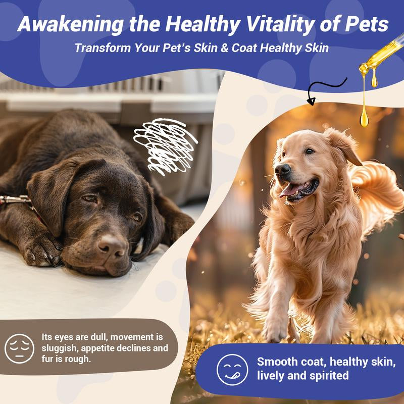 Probiology Natural Dog Yeast Infection Treatment - Itchy Skin & Ear Relief, Reduces Inflammation & Irritation, Soothes Allergy Symptoms - Herbal Supplement Drops for Dogs' Healthy Itch Relief (2 Oz)