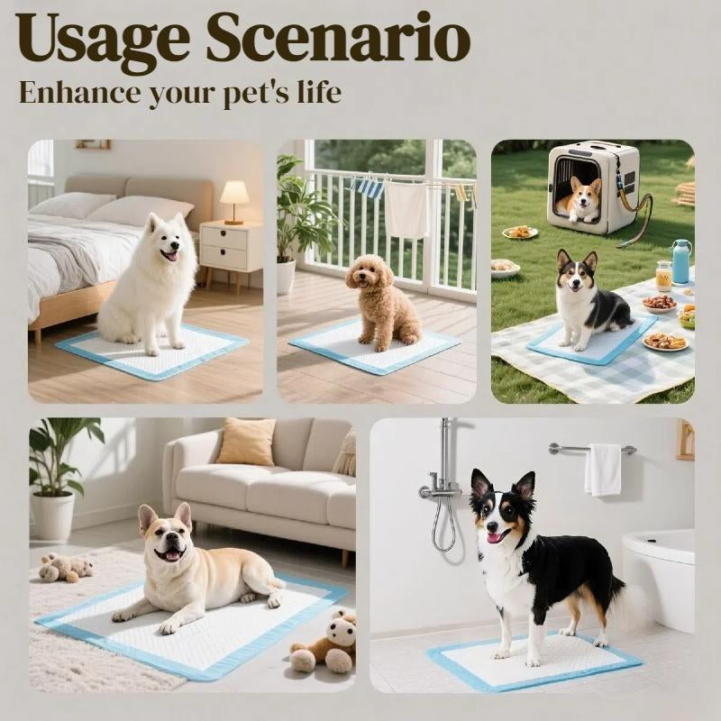 Pet Training Pads, 100Pcs Size XS Disposable Puppy Pee Pads Only Suitable for Puppies and Cats, Super Absorbent and Leak-Proof